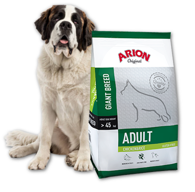 Arion Original Adult Giant Breed Chicken & Rice 12kg x2