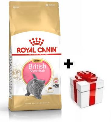 ROYAL CANIN British Shorthair Kitten 10kg + sorpresa per il gatto GRATIS