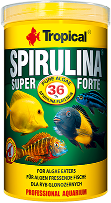 Tropical Super Spirulina Forte 1000ml